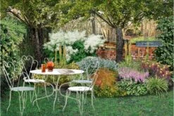 Robuste Alleskönner (Problemlösung Für Den Trockenen Schatten)