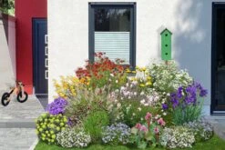 Neverending (Ausdauernde Blütenfreude Durchs Jahr)