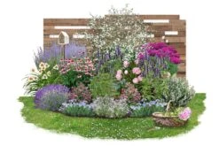 Nasenschmeichler (Herrlicher Duft Und Ausdauernde Blüten)