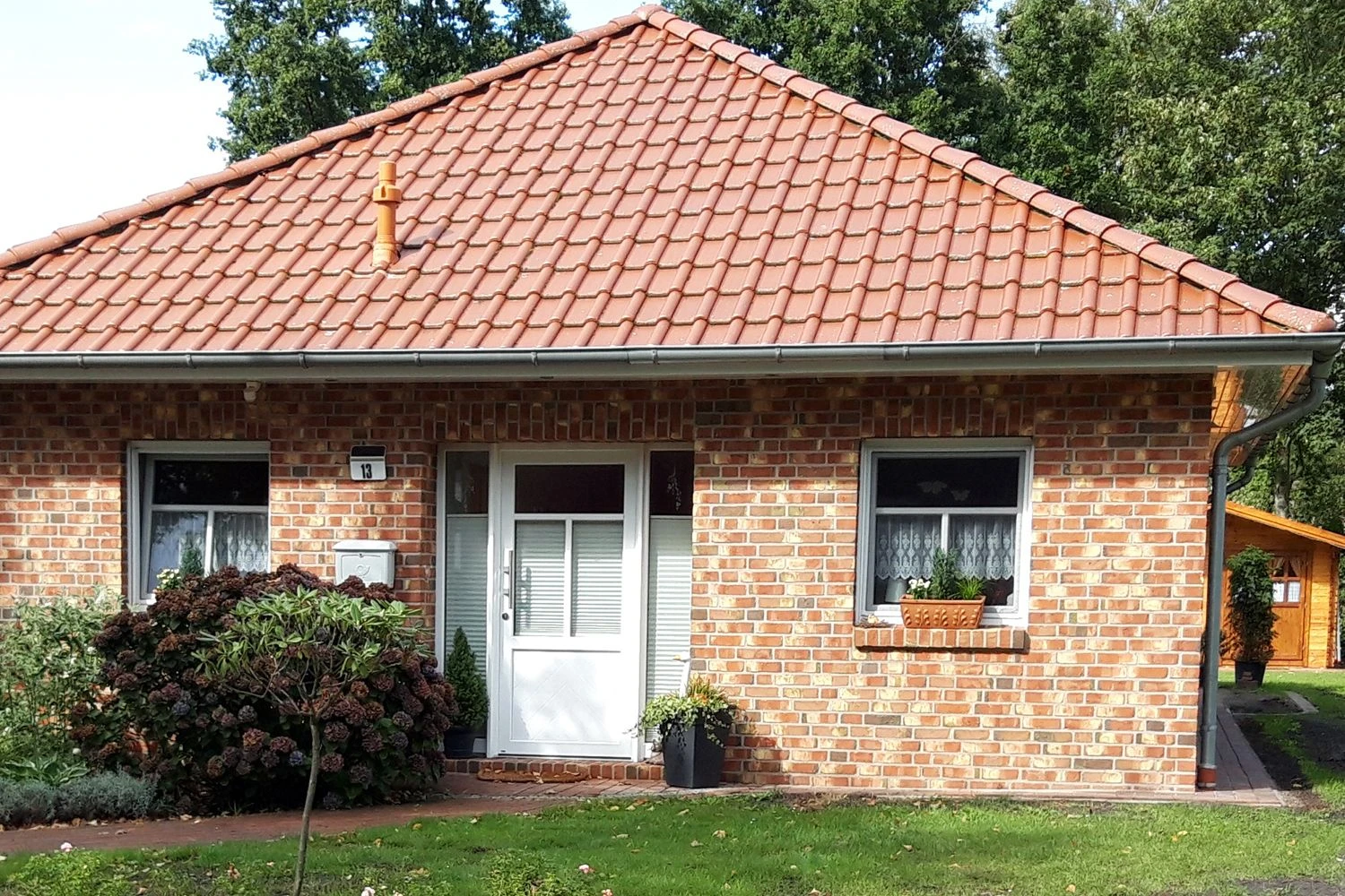 New German Style (Wundervolle Wildstaudenpracht) – Bild 2