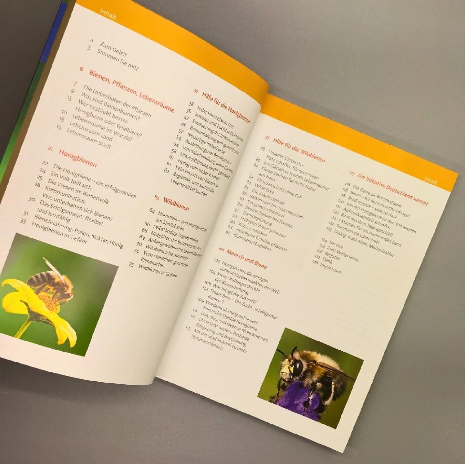 Wir Tun Was Für Die Bienen (Cornelis Hemmer) – Bild 2