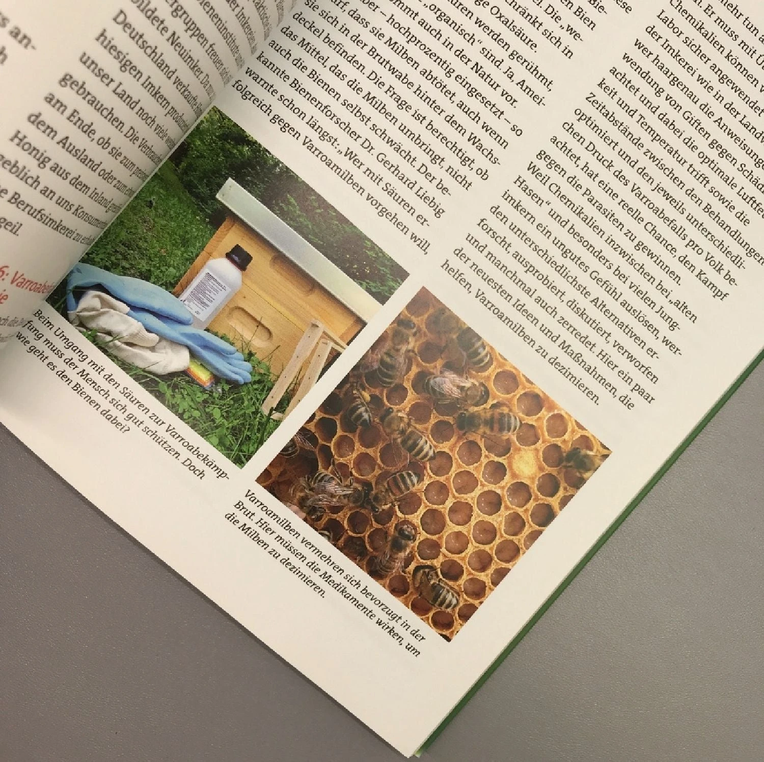 Wir Tun Was Für Die Bienen (Cornelis Hemmer) – Bild 4