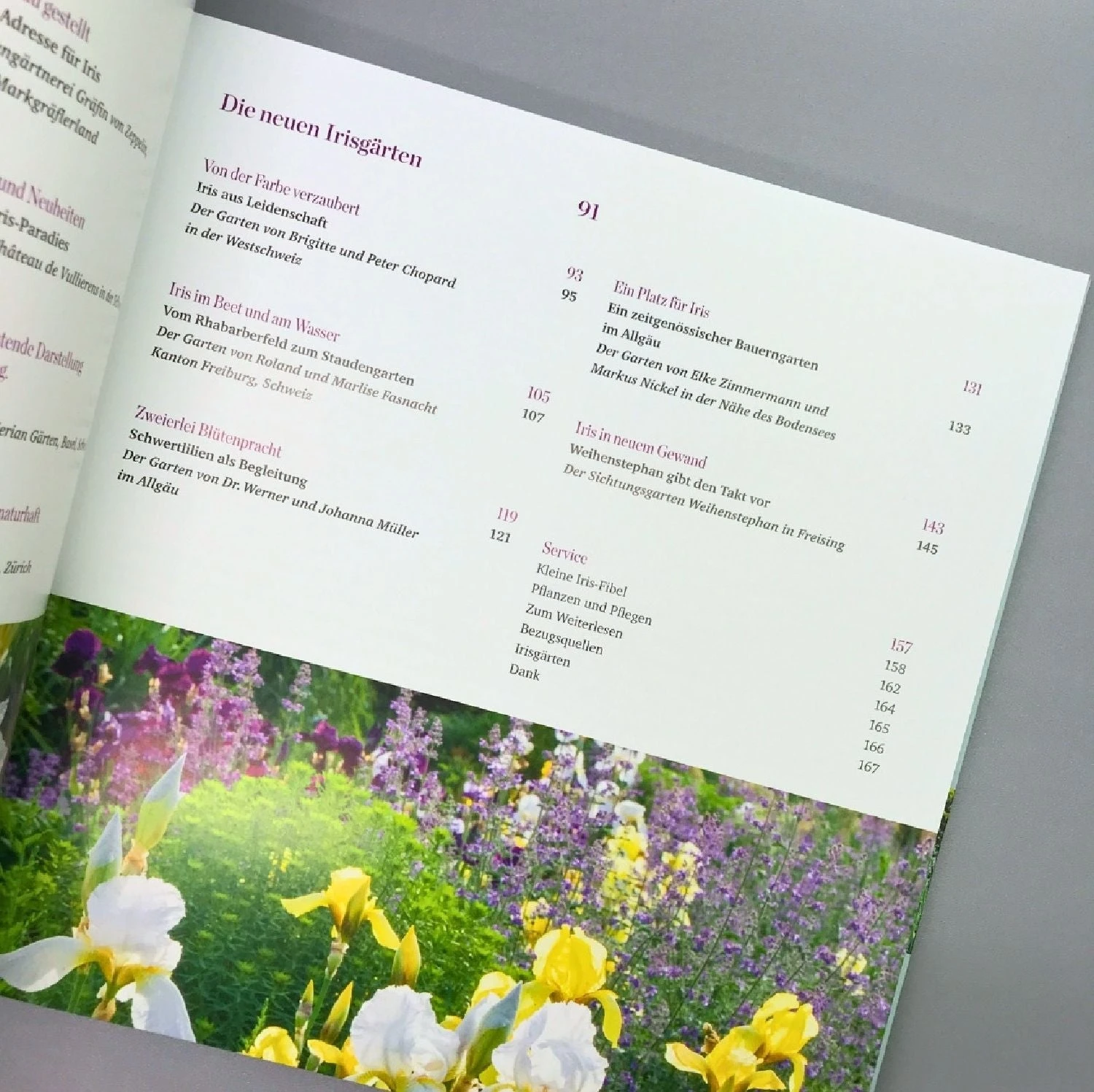 Iris In Bester Gesellschaft (Heidi Howcroft & Christa Brand) – Bild 3