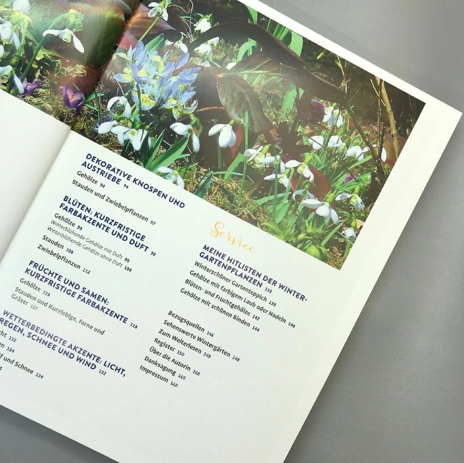 Lebendige Gärten Im Winter (Iris Frey) – Bild 3