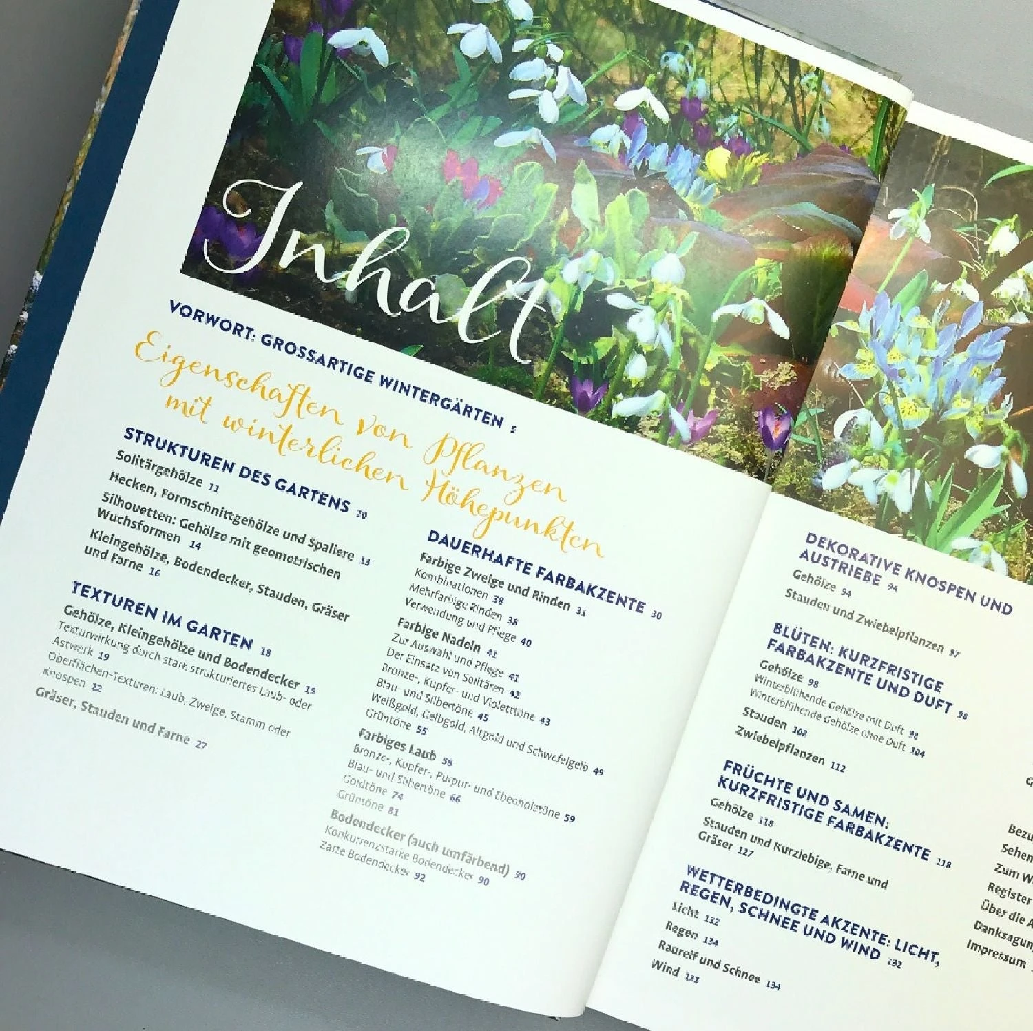 Lebendige Gärten Im Winter (Iris Frey) – Bild 4