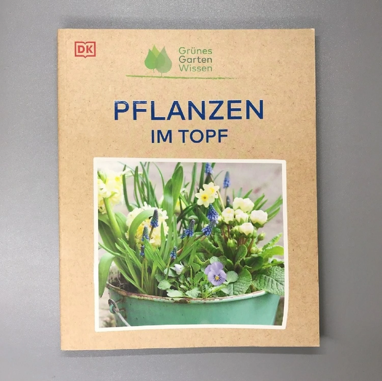 Pflanzen Im Topf (Grünes Garten Wissen)