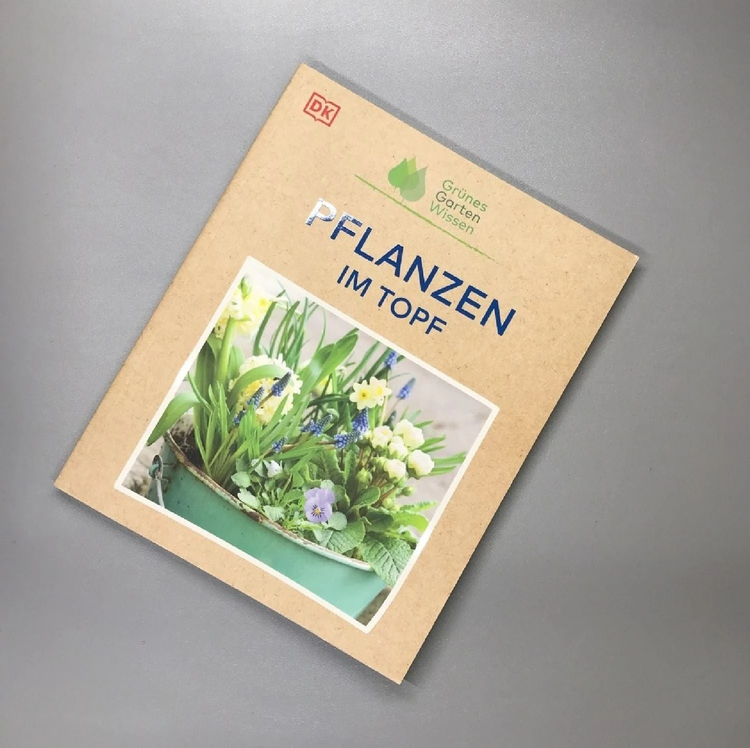 Pflanzen Im Topf (Grünes Garten Wissen) – Bild 2