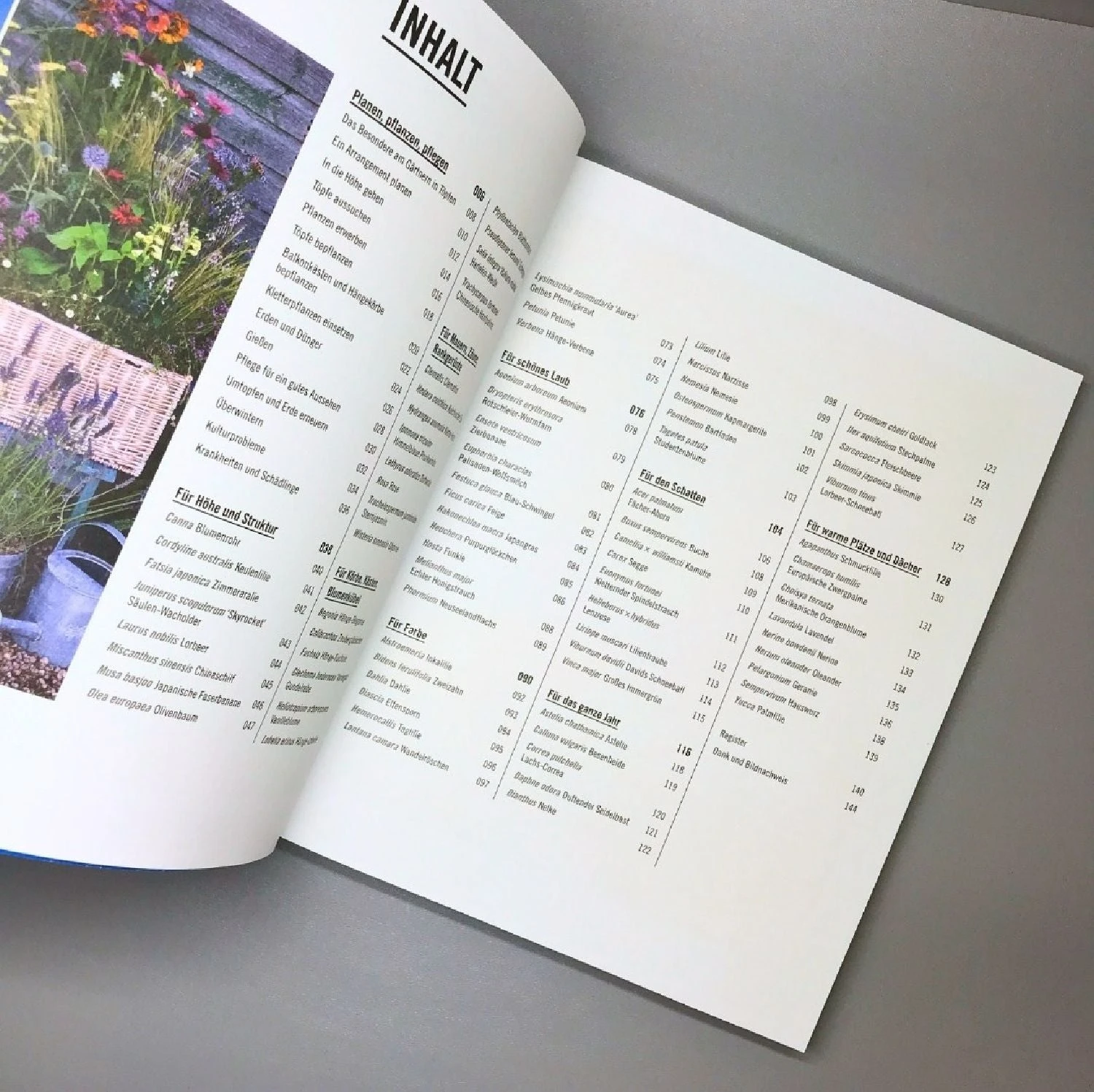 Pflanzen Im Topf (Grünes Garten Wissen) – Bild 3