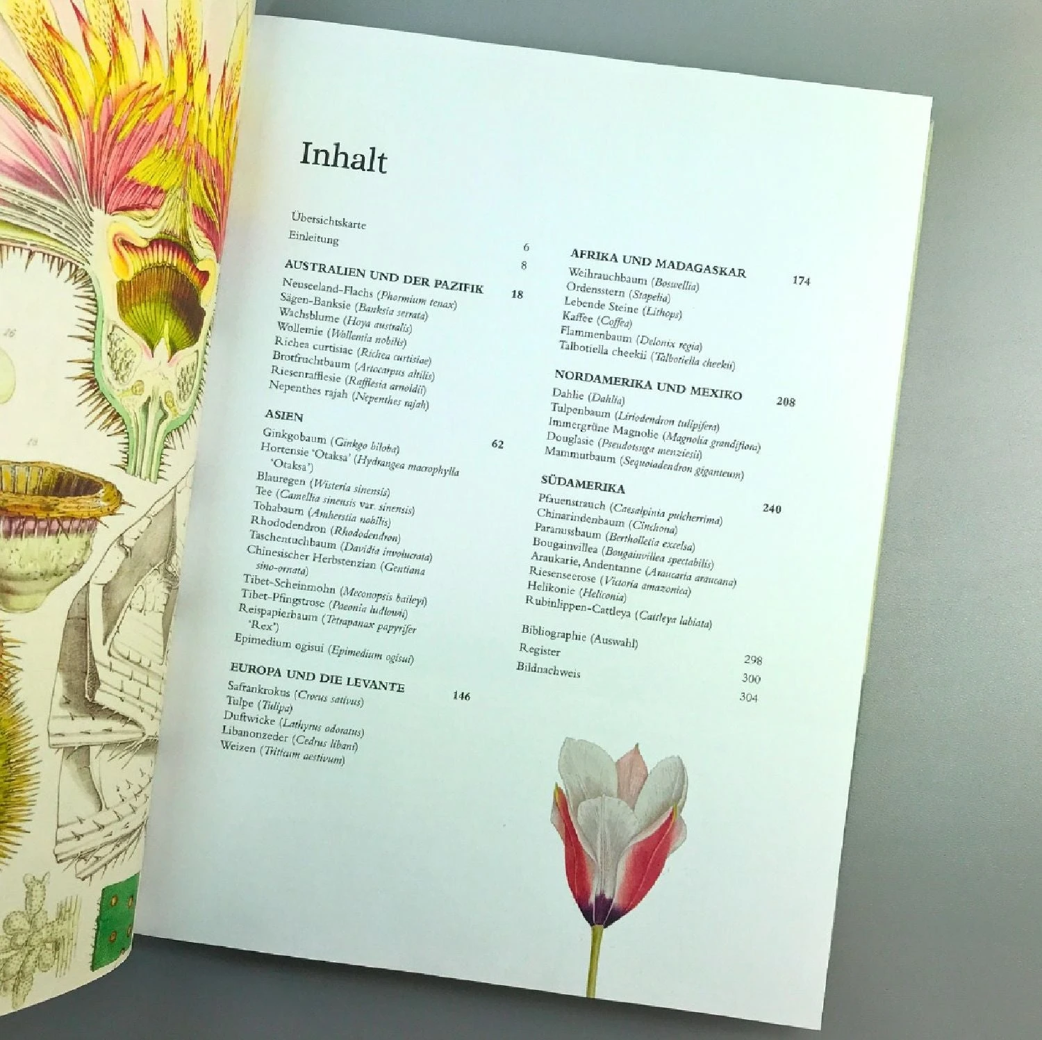 Pflanzenjäger (Wie Exotische Pflanzen In Unsere Gärten) – Bild 3