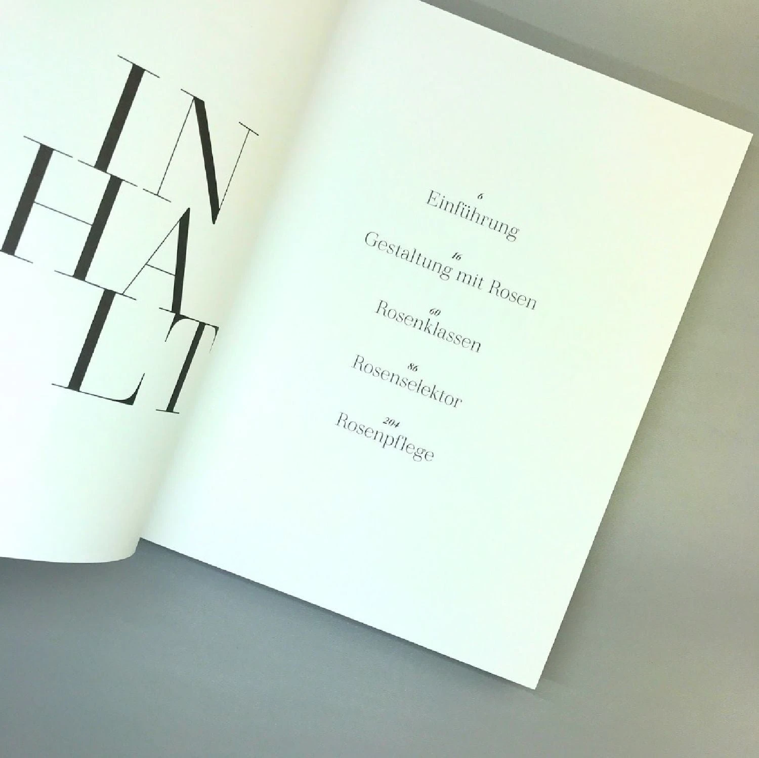 Rosen | Die Schönsten Sorten Auswählen (Michael Marriot) – Bild 2